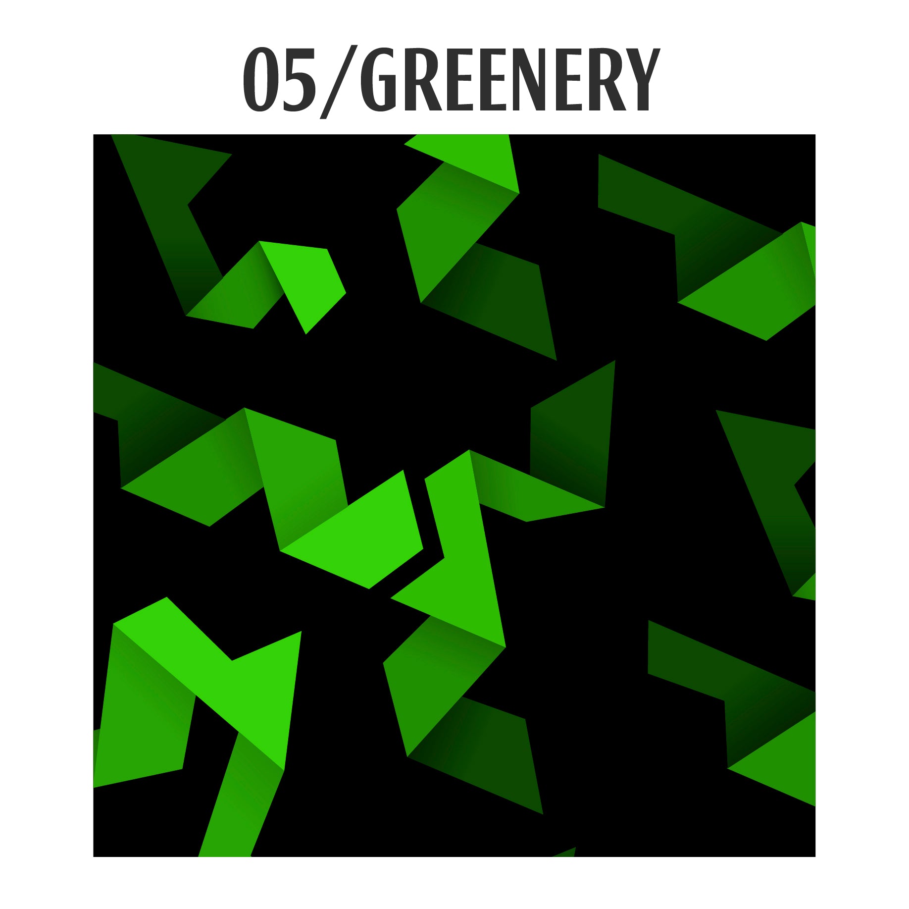 05| Harrastaja