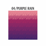 04 PURPLE RAIN