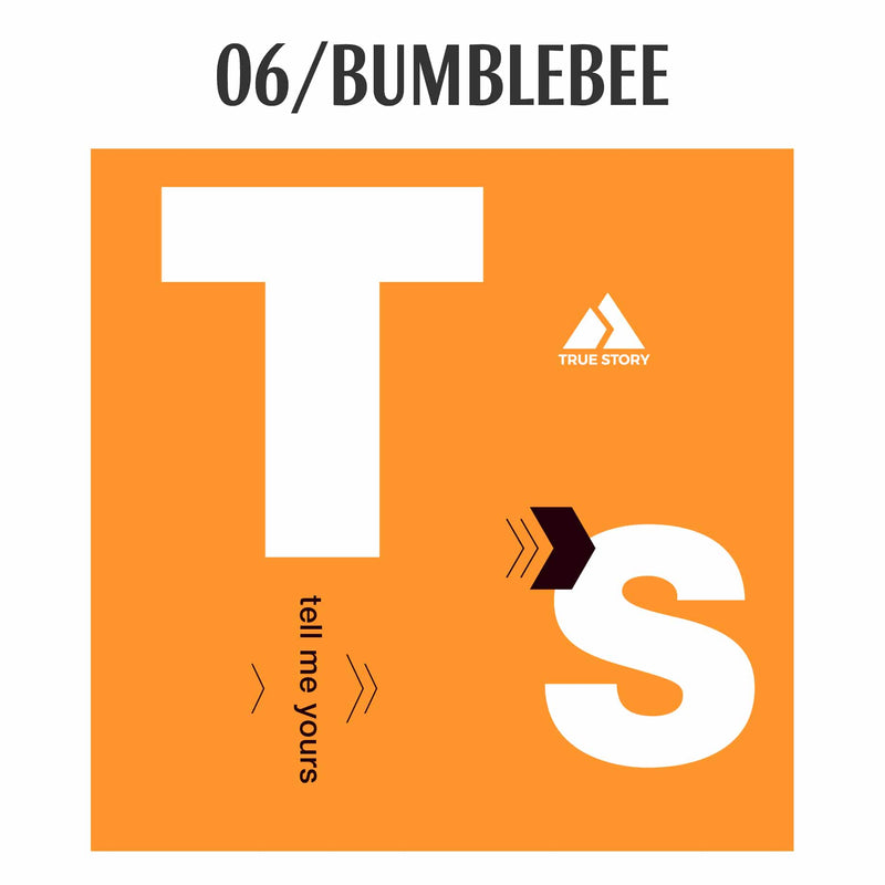 WEB_06-BUMBLEBEE